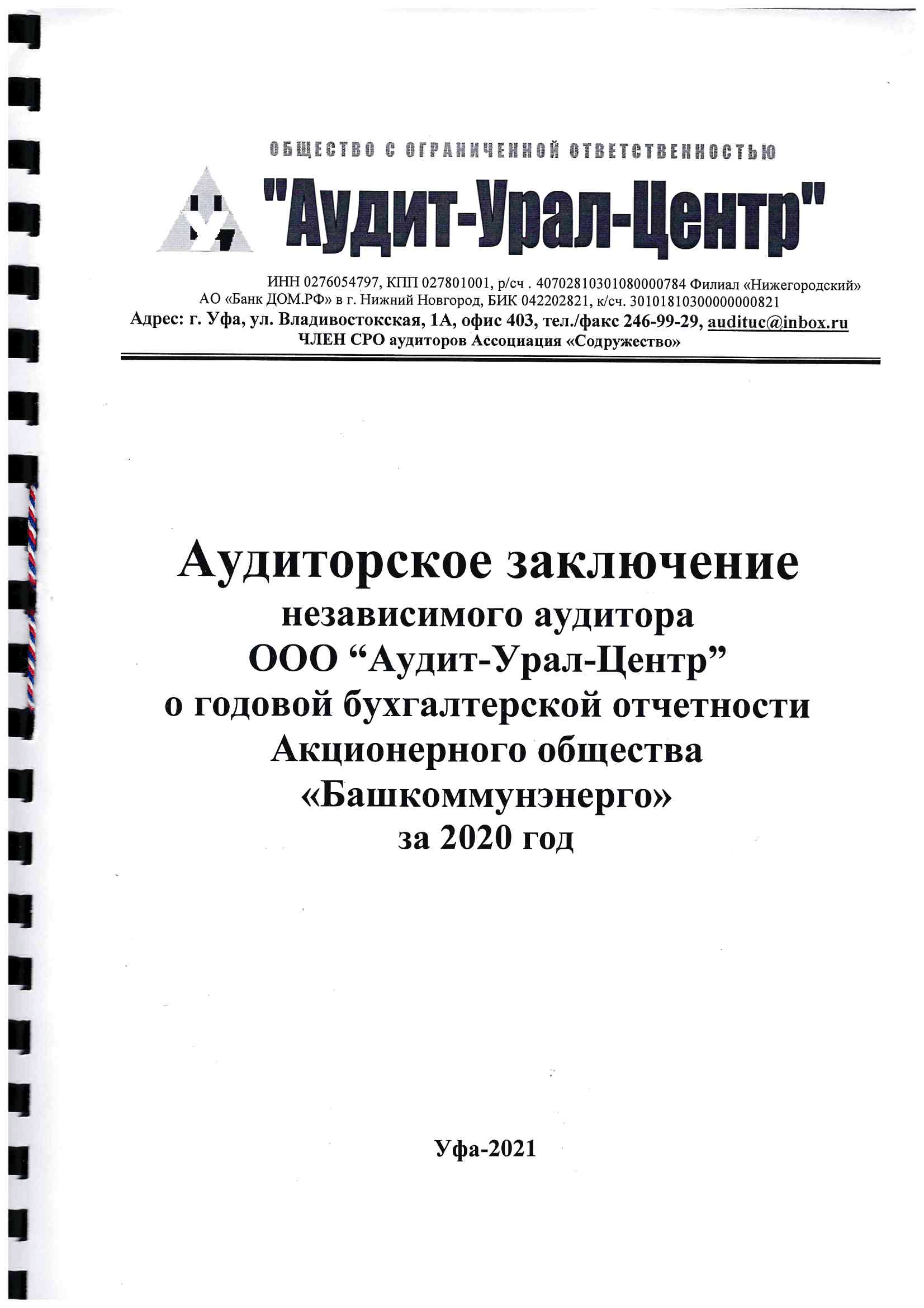 Аудиторское заключение за 2020-1